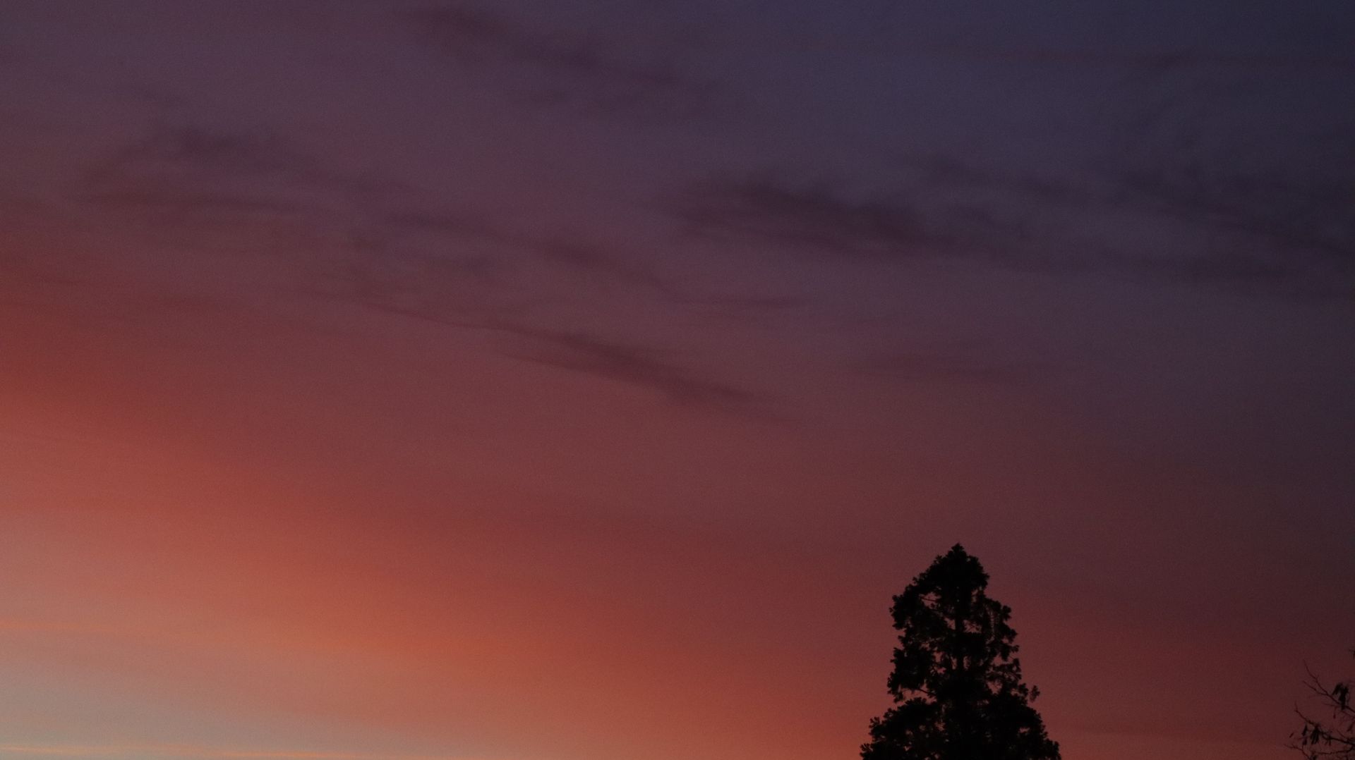 Northern Nevada Sunrise