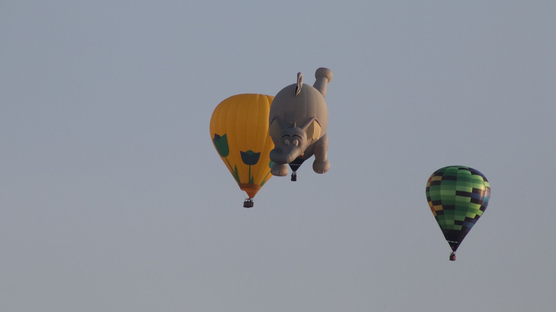 Great Reno Balloon Race
