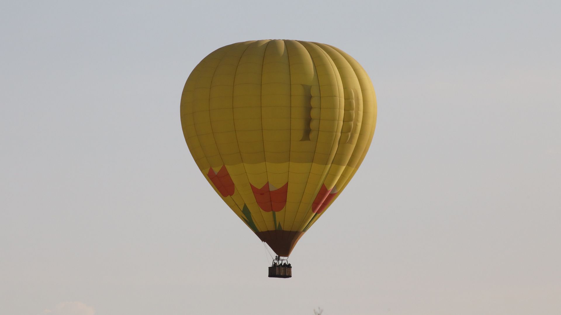Great Reno Balloon Race
