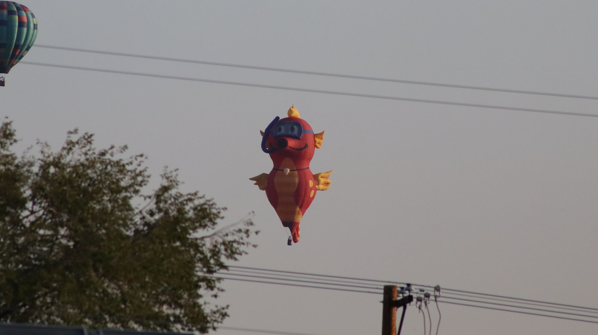 Great Reno Balloon Race