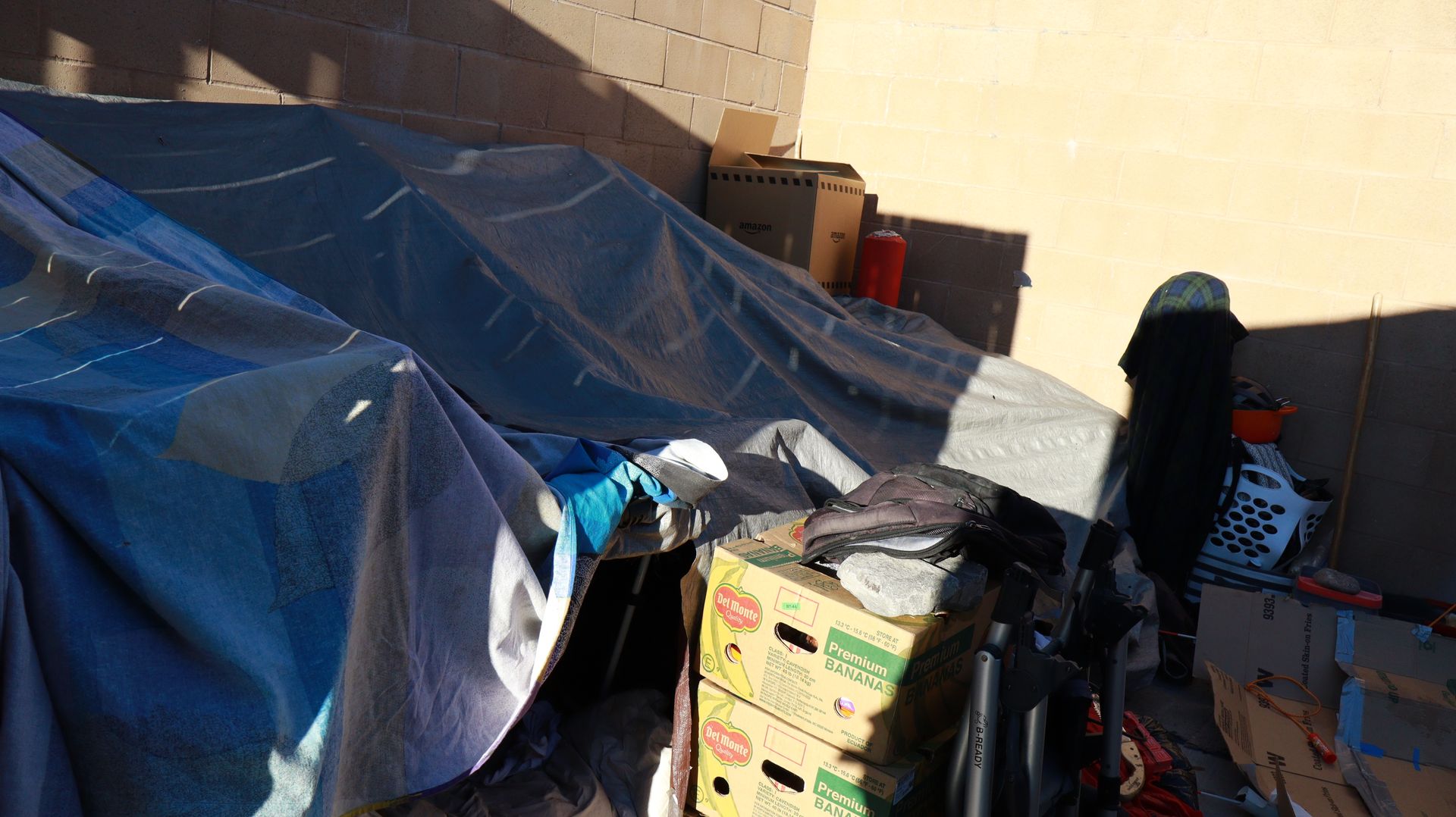 Dumpster Corral Junky Camp