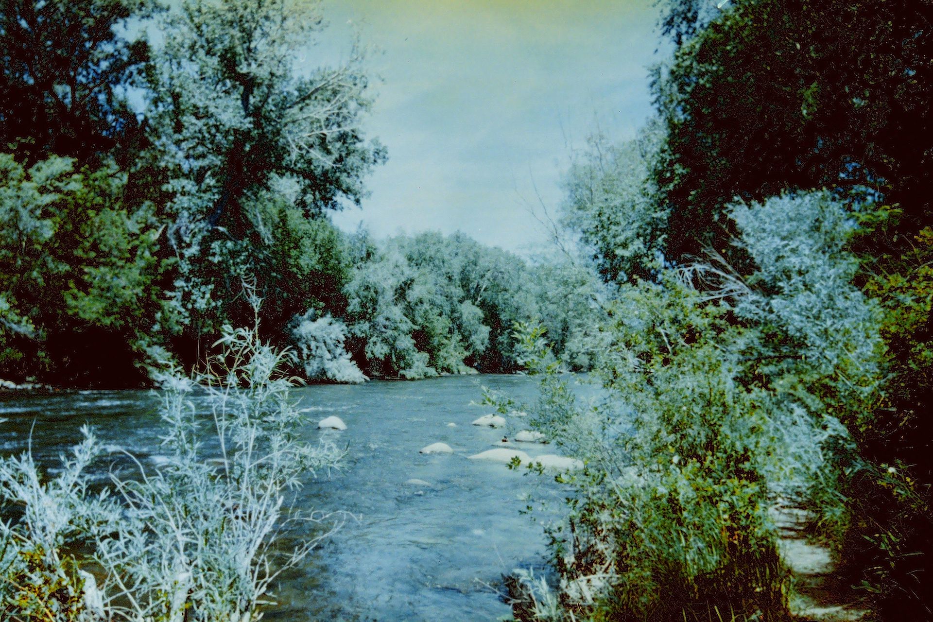 Truckee River