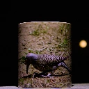 _MG_8351.webp