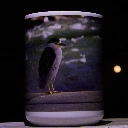 _MG_8348.webp