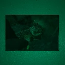 _MG_8444.webp