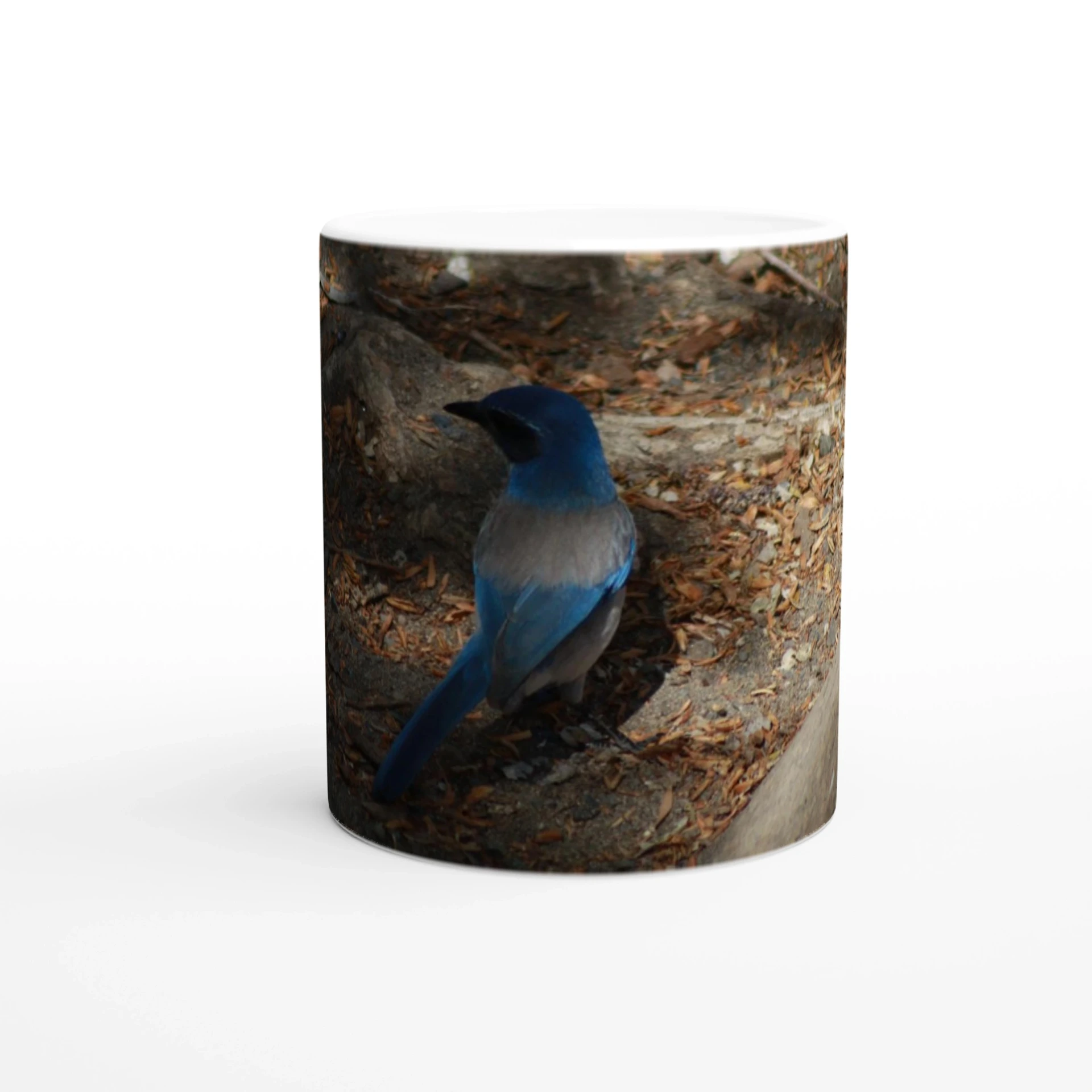 11oz Ceramic California Shrub Jay Mug