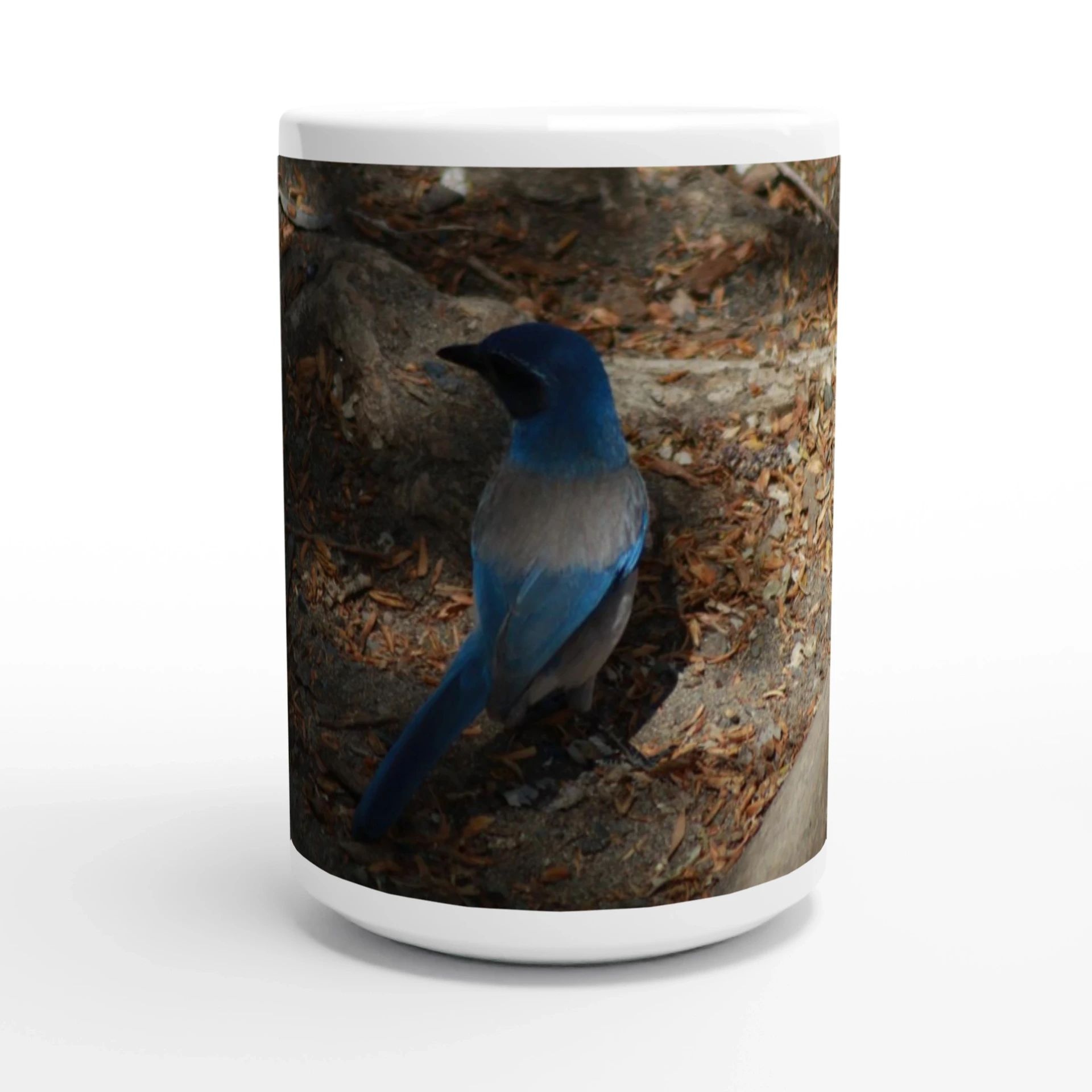 15oz Ceramic California Shrub Jay Mug