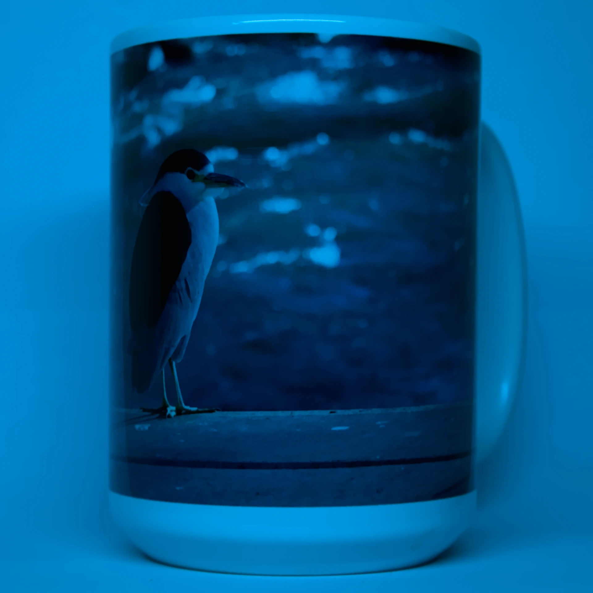 15oz Black Crowned Night Heron Mug