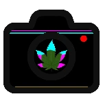 Stoned Photography